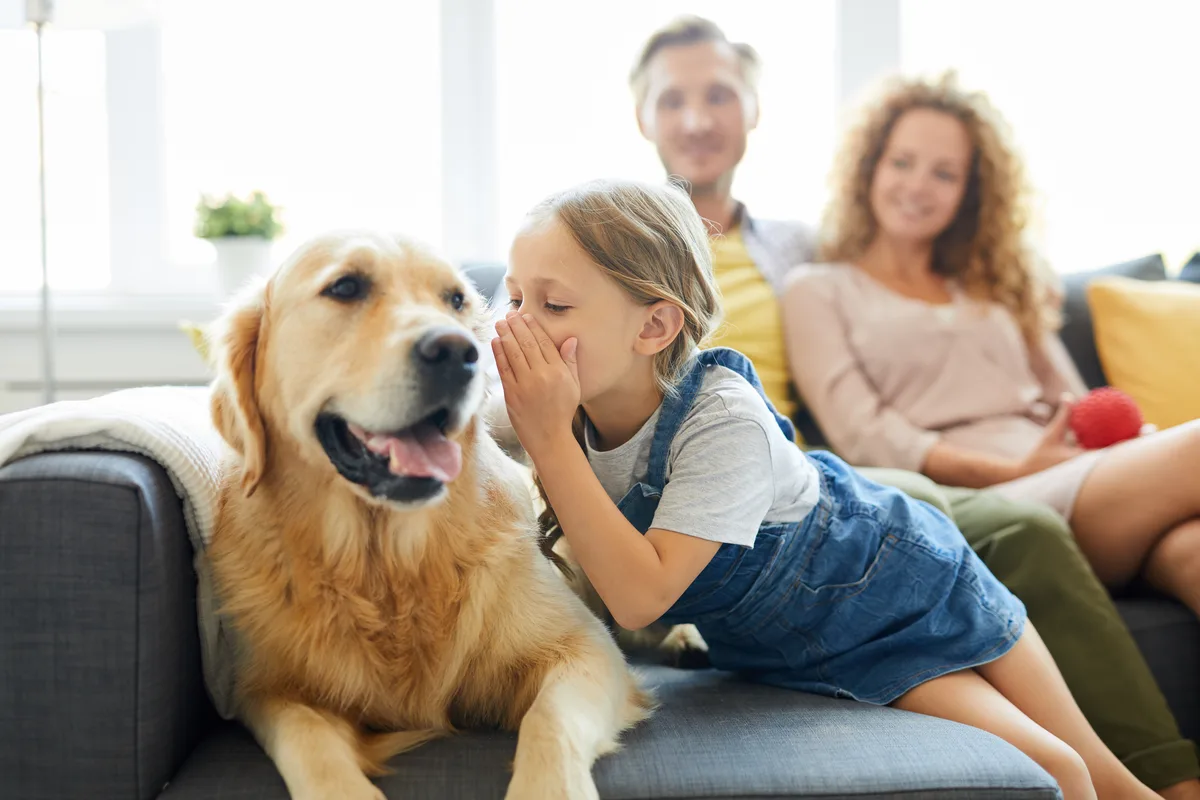 Fulshear’s Trusted Insurance for Homes, Auto & Businesses
