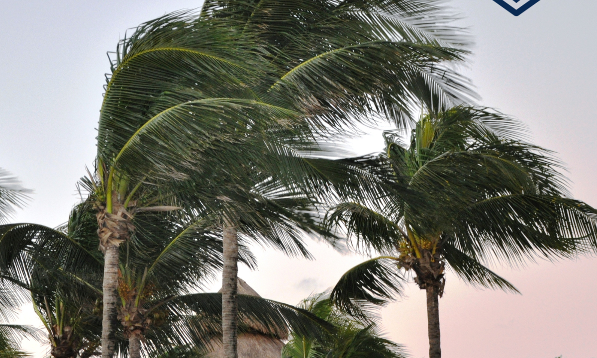 Do I need windstorm insurance in Texas?